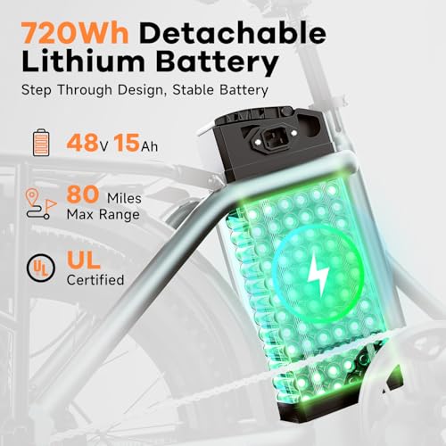 1000W Folding Electric Bike 80 Miles Max Range,30+MPH,48V20A Removable Lithium-Battery,20" Foldable All Terrain Electric Bicycle,with Pedal-Assist & LCD Display,Suitable for Leisure Riding & Commuting