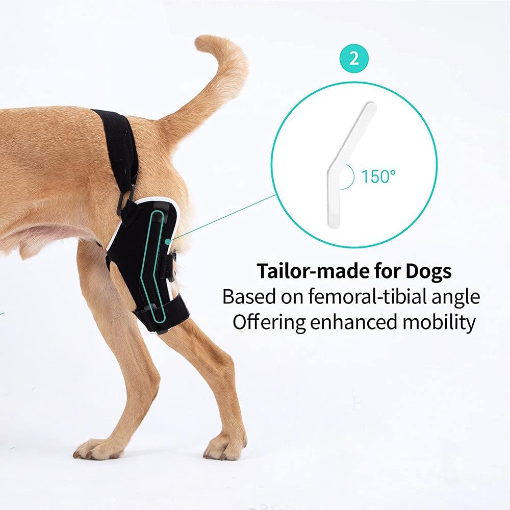 Poveo hinged Dog Knee Brace with Patella Tracker - Neoprene Canine Stifle Support for Dogs with Flexible Support, Torn ACL, Patella Luxation, osteoarthritis, limping from Joint Pain, Hip dysplasia
