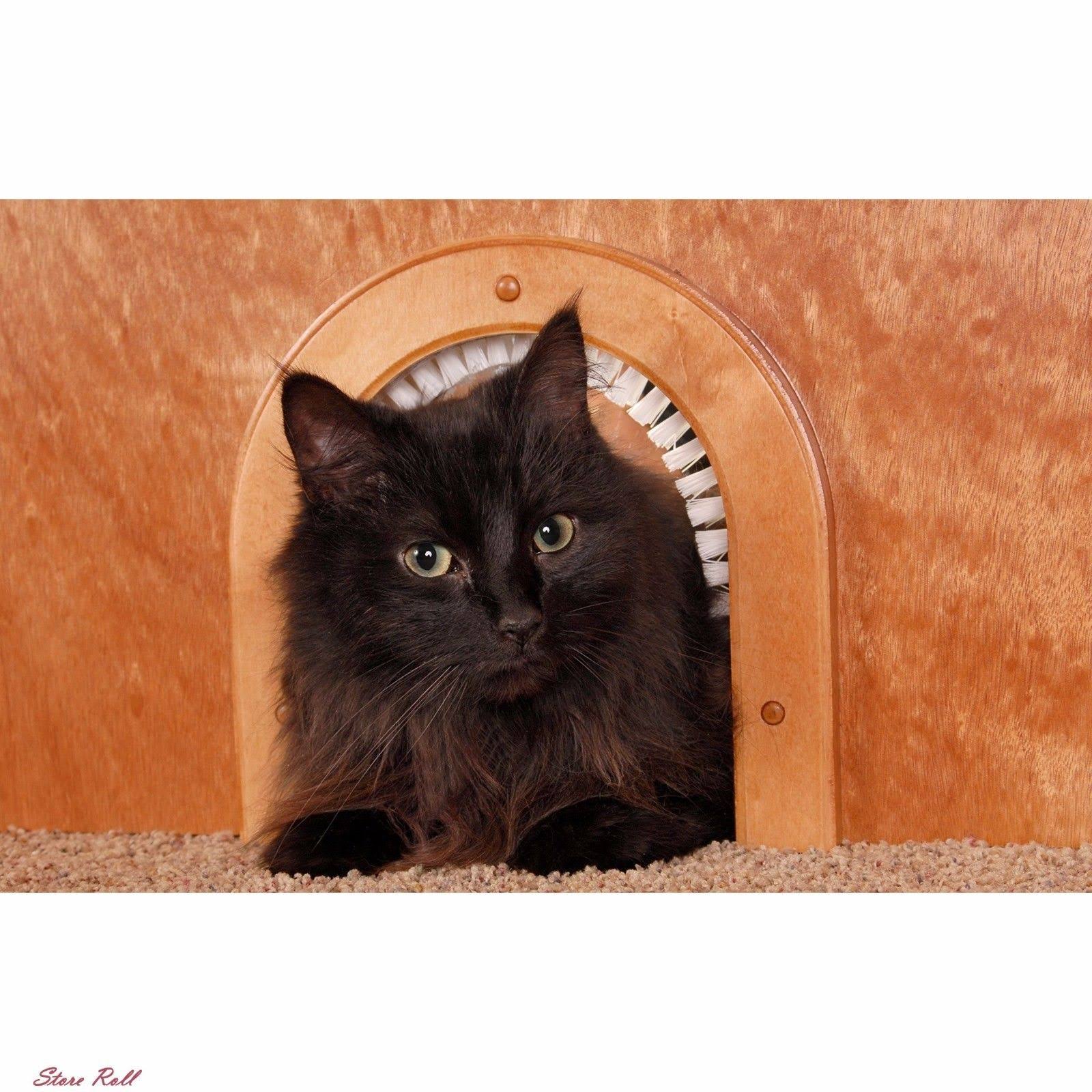 Cat Door The Original Cathole Interior Pet