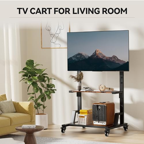 AENTGIU Rolling TV Stand Mobile TV Cart for 32"-75" All Brand TVs, Lockable Portable TV Stand on Wheels with Metal TV Mount & 2 Tier Wood Shelf for Living Room,Bedroom,Office(All Hardware Included)