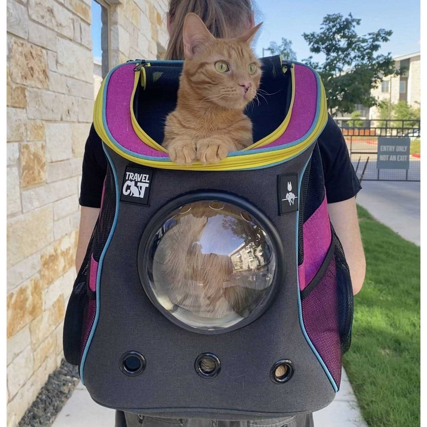 Cat Backpack Stray x Travel - Pet Supplies online store