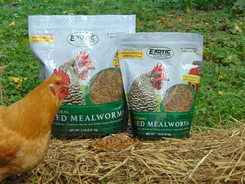 Exotic Nutrition Dried Mealworms 22 lb.