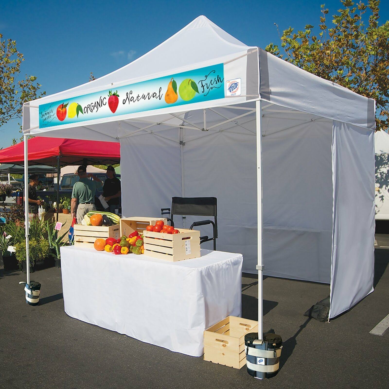 E-Z Up ES100S Instant Shelter Canopy, 10& x 10&