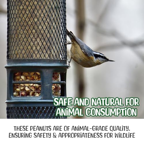 Premium Quality-50 Pound- Raw Peanuts in Shell – All-Natural Food for Squirrels, Deer, Birds, and Other Wildlife Animals – Bulk Wholesale Bag – Grown in The USA for Healthy Nutrition
