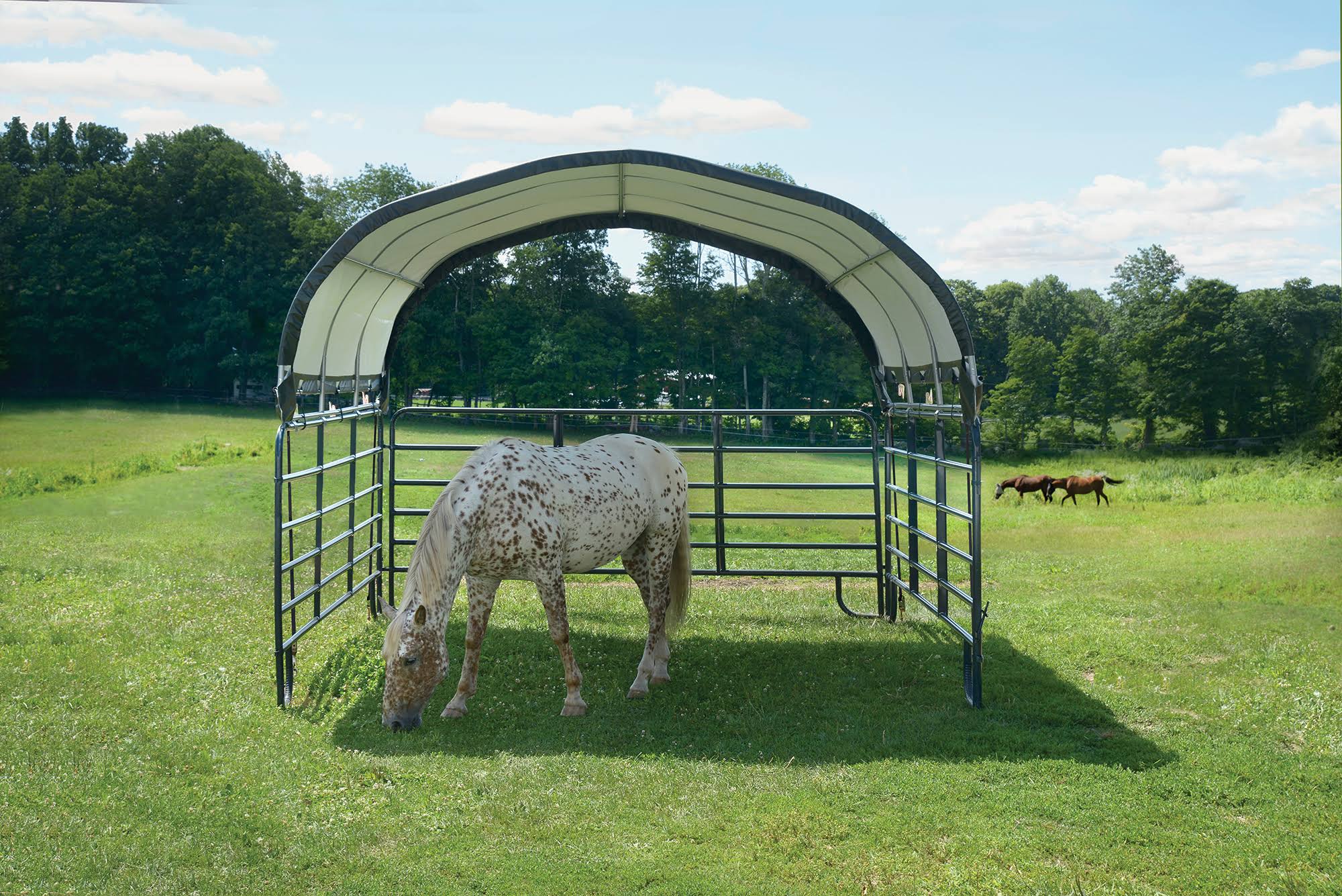 ShelterLogic Round Corral Shelter Cover, Green