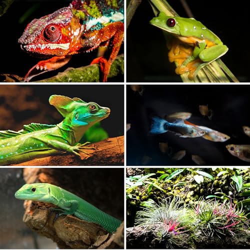 REPTI ZOO 100 Gallon Extra Tall Large Reptile Tank, 36x18x36 Vertical Reptile Terrarium with Mesh for Chameleon Arboreal Lizard Frog, Water-Land Turtle Tortoise Aqua Tank with Drainage Pipe