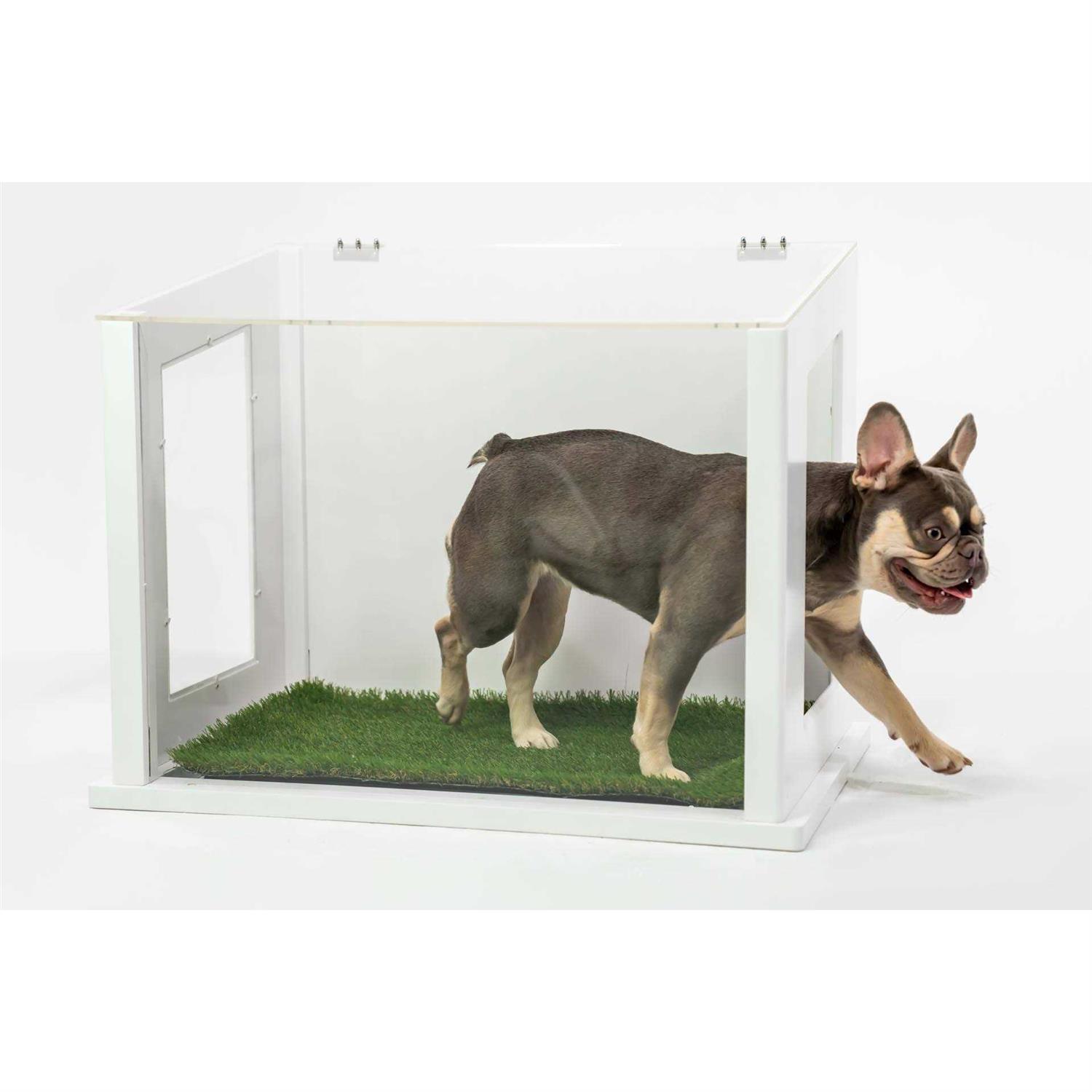 City Loo, Chic Dog or Cat Potty - Pet Supplies online store