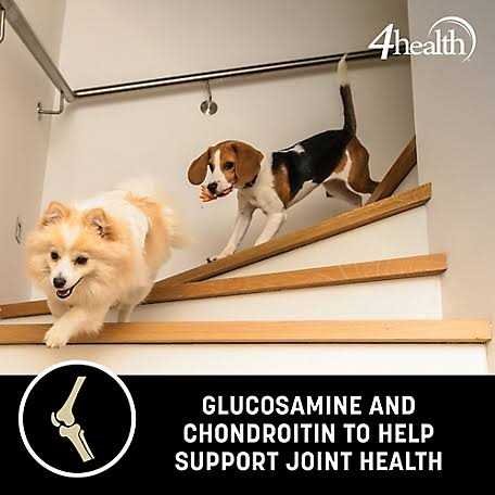 4health with Wholesome Grains 4health Wholesome Grains Adult Dry Dog Food Large Breed SKU 1433611 - Pet Supplies online store