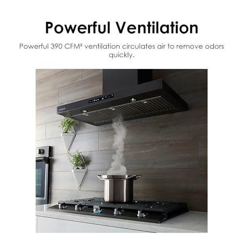 SAMSUNG 30" Smart Wall Mount Range Hood