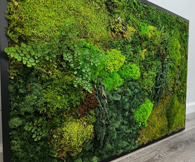 Unique Moss Wall Art - Preserved Live Moss Art Framed - Natural Wooden Artwork - Home Decor - Wall Decor - Custom made - Handmade - Made in USA (25" x 37", White)