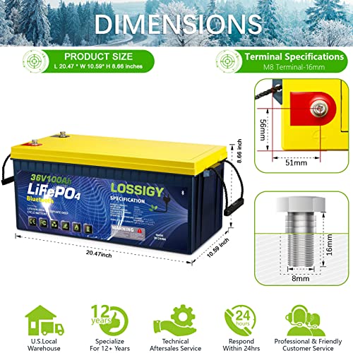 LOSSIGY 12V 300AH LiFePO4 Lithium Battery, Built in BMS with 10 Yrs Lifespan, Perfect for Solar System, RV, Marine