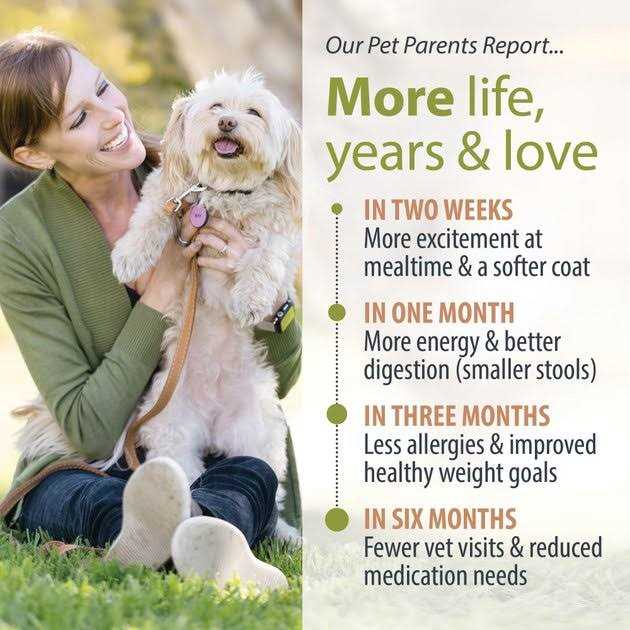 JustFoodForDogs Just Food for Dogs Veterinary Diet PantryFresh Renal Support Low Protein Shelf-Stable Fresh Dog Food - Pet Supplies online store