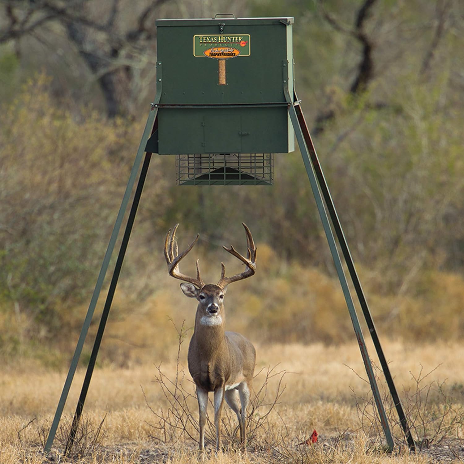 Texas Hunter Wildlife & Deer Feeder w/ 8-Foot Heavy-Duty Extension Legs - 650 lb. Corn Capacity - Model TF650L8 …