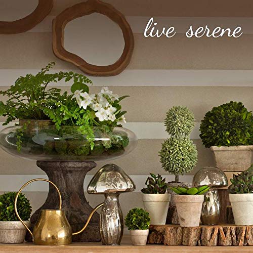 Serene Spaces Living Square Acacia Wood Planter Box, Rustic Indoor Flower and Succulent Planter, Decorative Farmhouse Wooden Storage Container Boxes, Measures 12" L X 12" W X 12" H