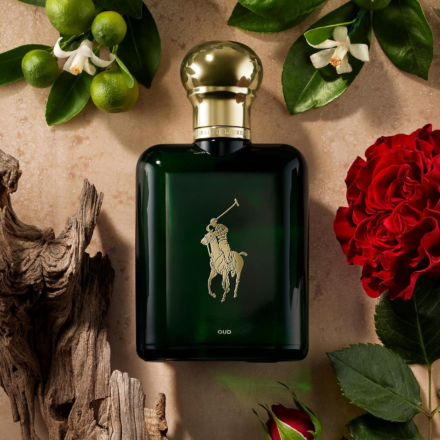RALPH LAUREN FRAGRANCES Polo Oud - Eau de Parfum - Men's Cologne - Woody & Ambery - With Orange Flower, Rose, and Oud Wood - 4.2 Fl Oz