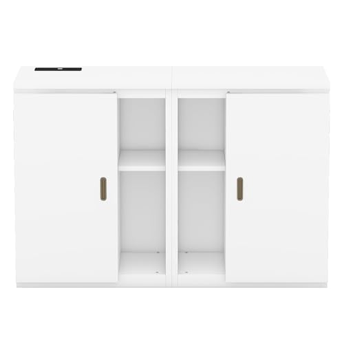 Queen Size Mobile Murphy Cabinets Bed with USB Ports, Traditional Solid Wood Murphy Bed Floor Storage Bed for Guest Room Home Office, No Box Spring Required (White-M5)