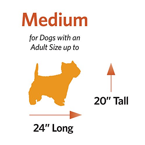 MidWest Homes for Pets Ovation Single Door Dog Crate, 42-Inch