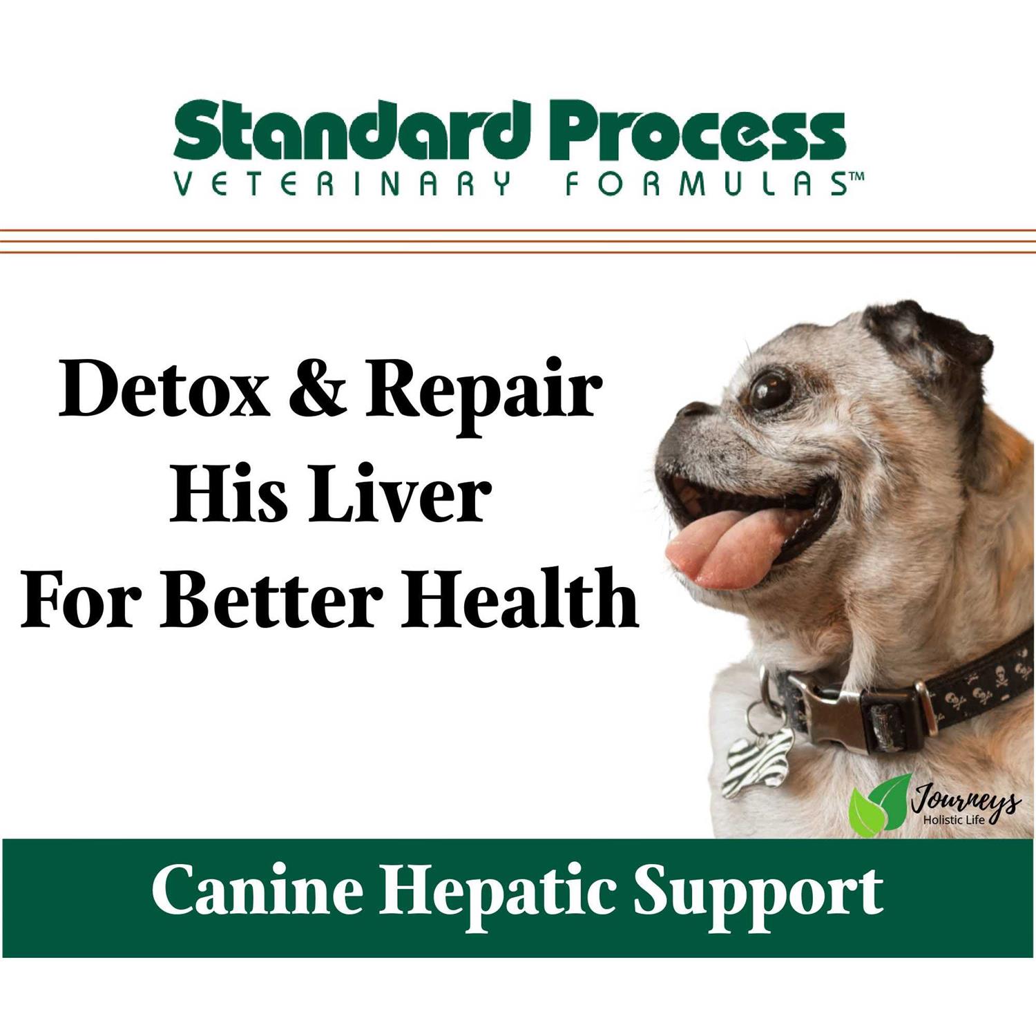 Canine Hepatic Support - Pet Supplies online store
