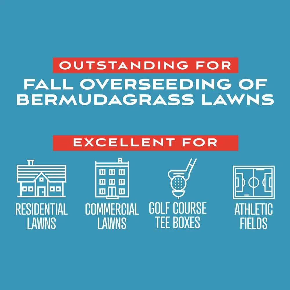 Pennington Fairway Supreme Perennial Ryegrass Grass Seed Seed Blend, for Sun to Partial Shade 50 lb