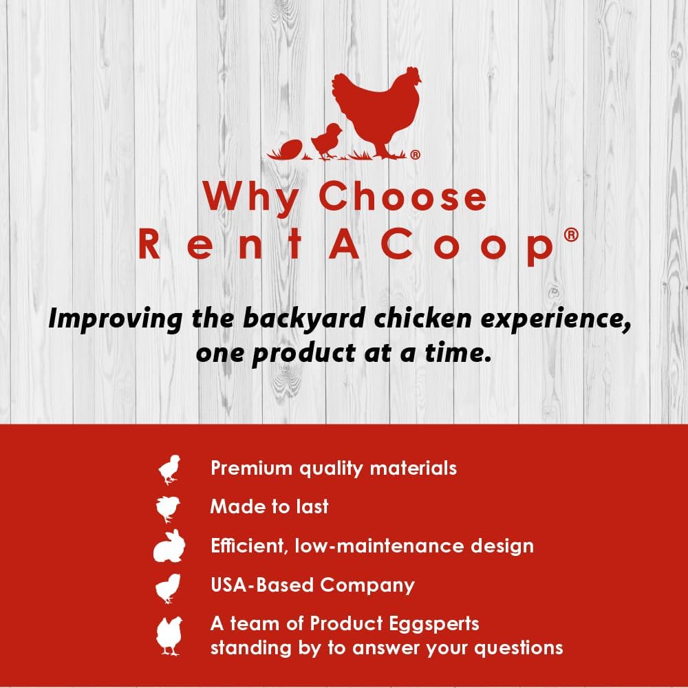 RentACoop Big Red Barn Chick Brooder Set with Chick Heating Plate with Anti-Roost Cone, Two 2.5 Pound Chick Feeders, Two 64 Ounce Chick Drinkers, and Jute Liner