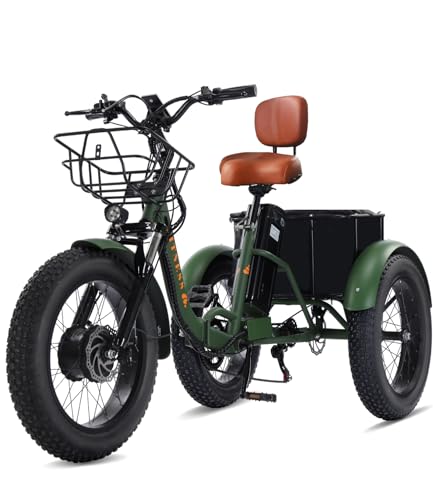 Adult Electric Tricycle Adult Tricycle 3 Wheel Bikes Adults Electric Three Wheel Bike