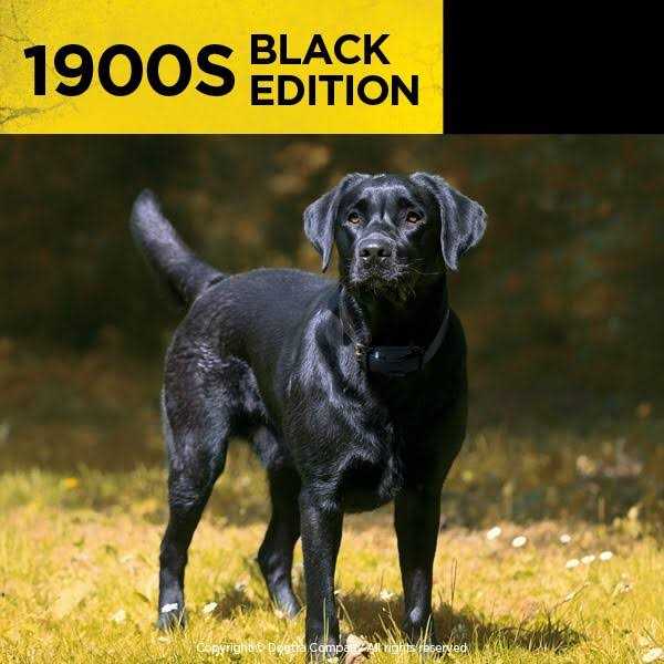 Dogtra 1900S Black Edition 1 Mile Remote Trainer - Pet Supplies online store