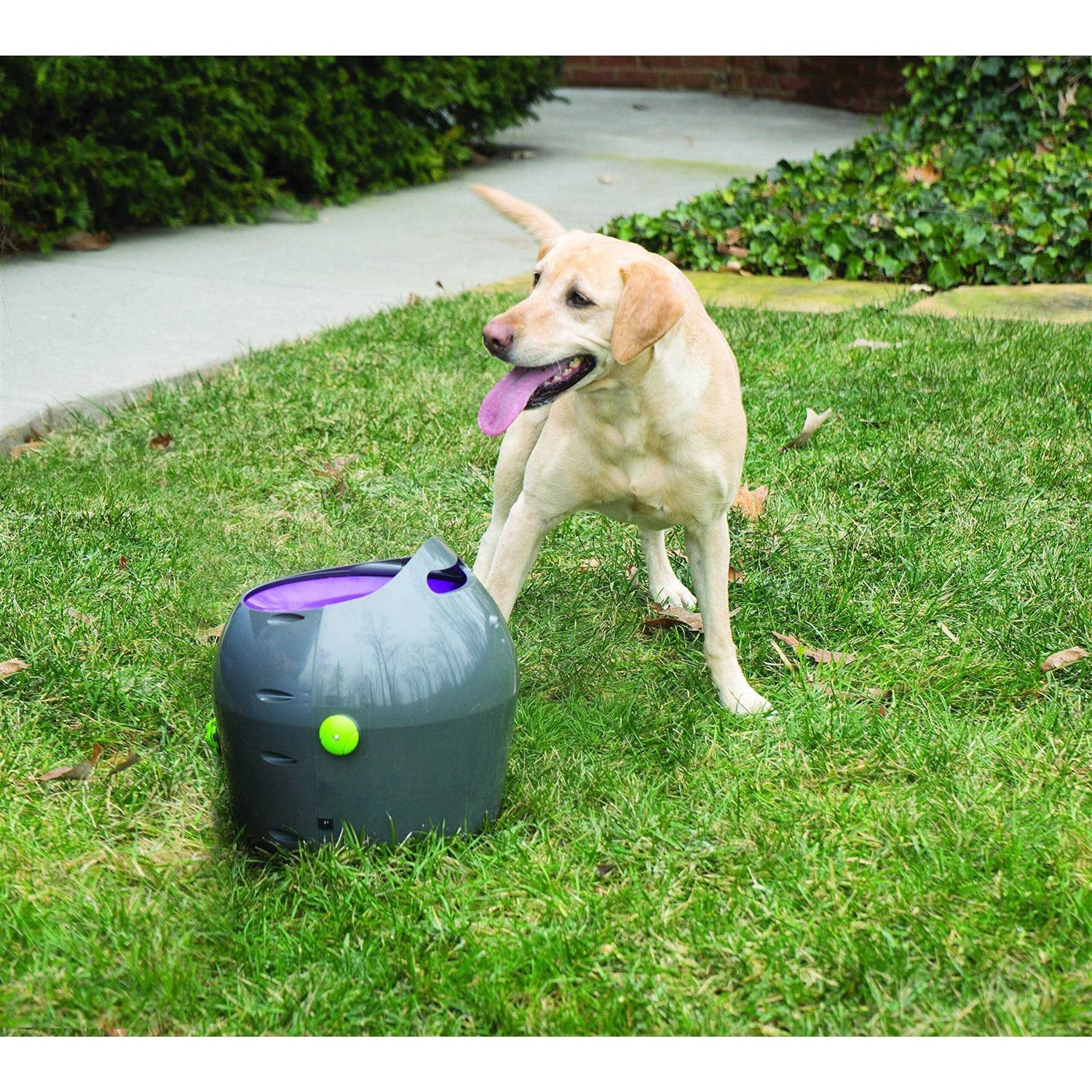 PetSafe Automatic Ball Launcher Dog Toy - Pet Supplies online store
