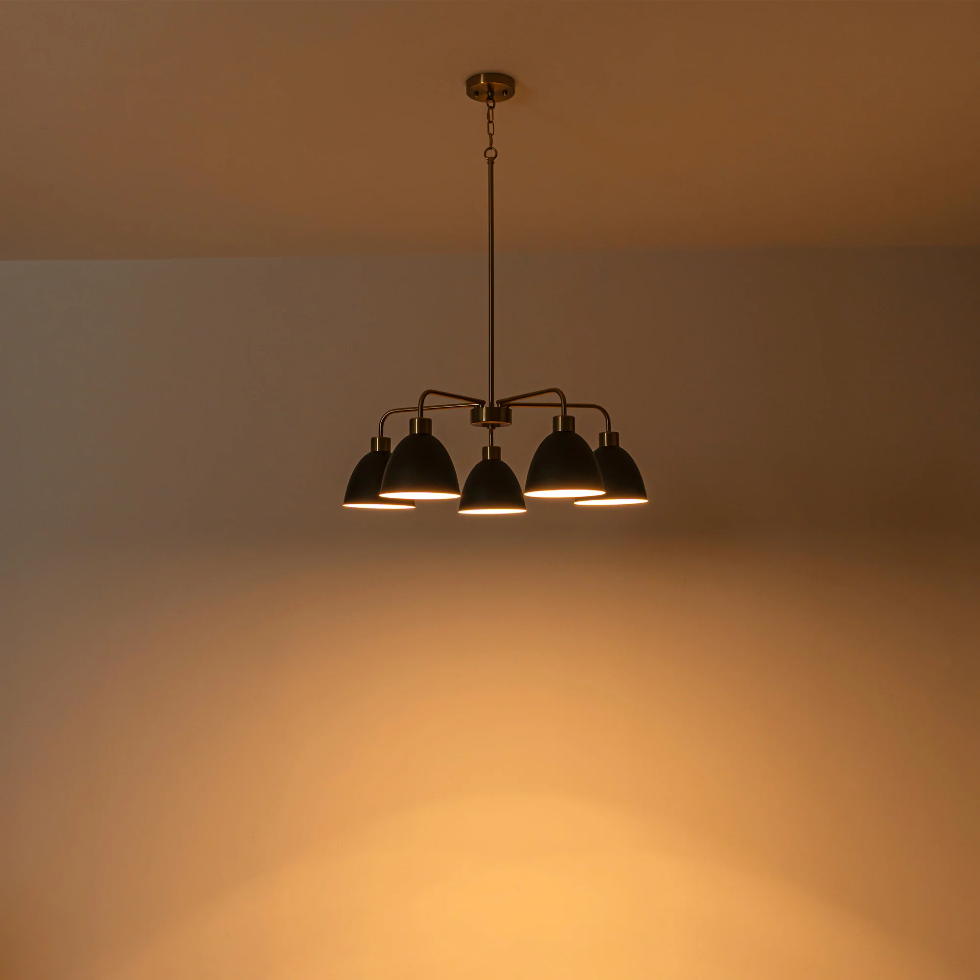 Avelon 5-Light Dimmable Industrial Shaded Chandelier (30)