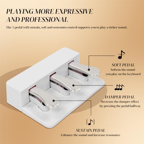Ktaxon Digital Piano 88-Key Weighted Action Electric Piano with 3-Pedal Unit, Double Bluetooth, Split/Touch/Transpose Control Functions(Black)