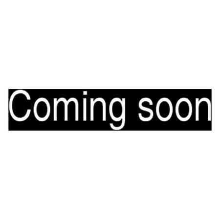 Sportpet Designs Plastic Kennels Rolling Plastic Wire Door Travel Dog Crate - Pet Supplies online store