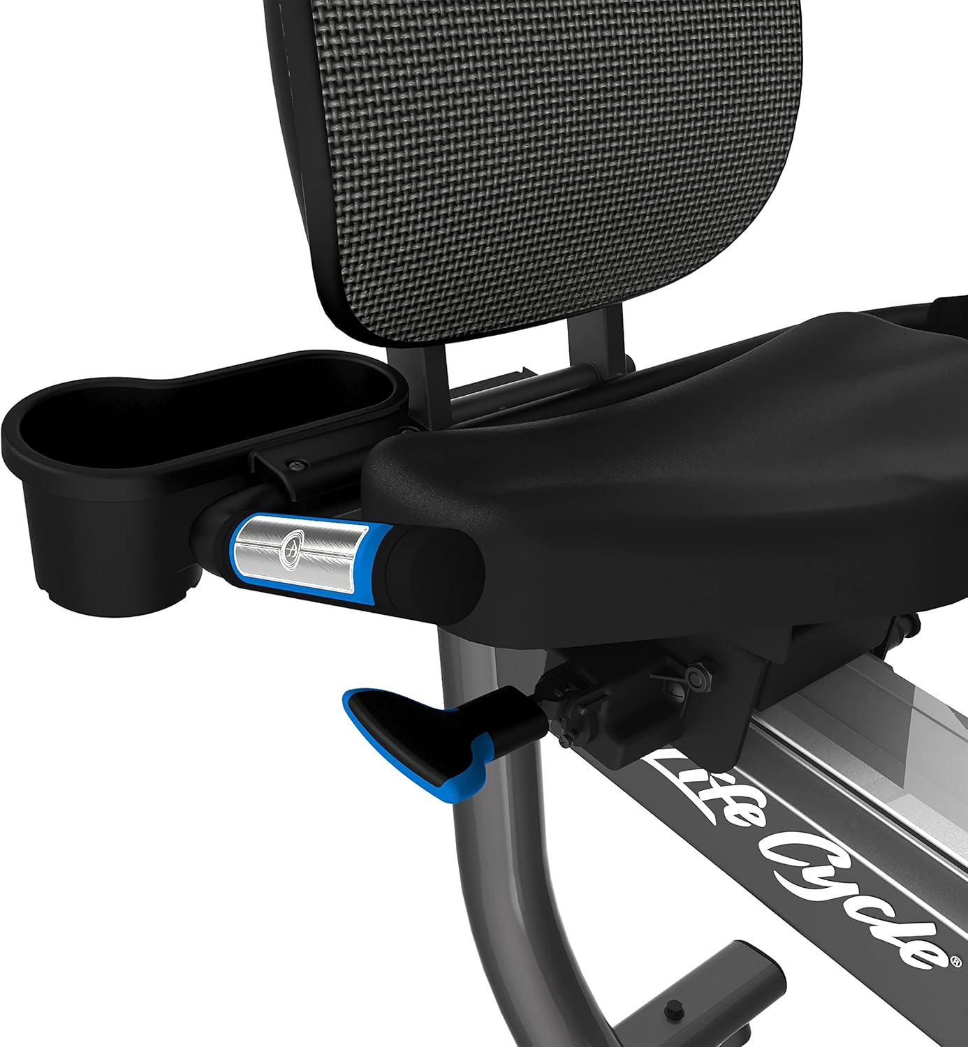 Life Fitness RS3 Recumbent Indoor Cycling Exercise Bike with Go Console