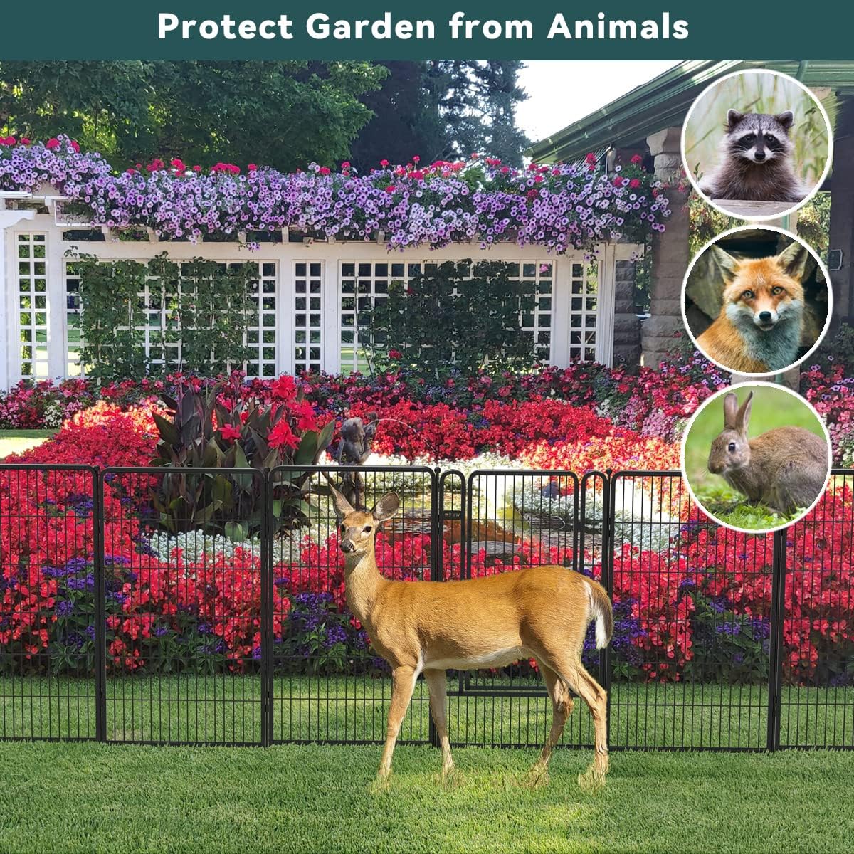 FXW Decorative Garden Metal Fence Temporary Animal Barrier for Yard, 7 Panels+1 Gate, 20'(L)×50"(H), Black