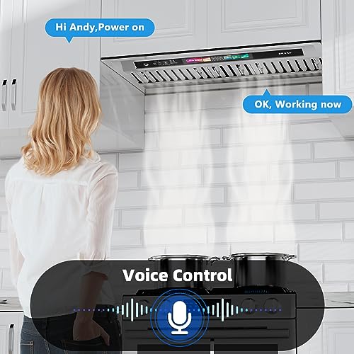 BRANO 30 Inch Insert Range Hood with Voice/Gesture/Touch Control, 900 CFM Built-in Kitchen Hood Vent with 4 Speed Exhaust Fan, Memory Mode, Adjustable Lights, Ducted/Ductless Convertible