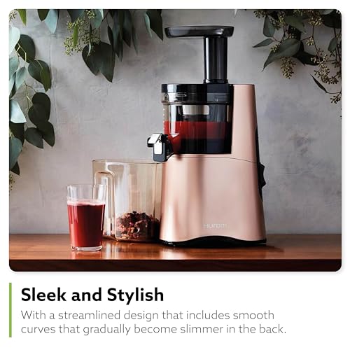 Hurom H-AA Slow Juicer