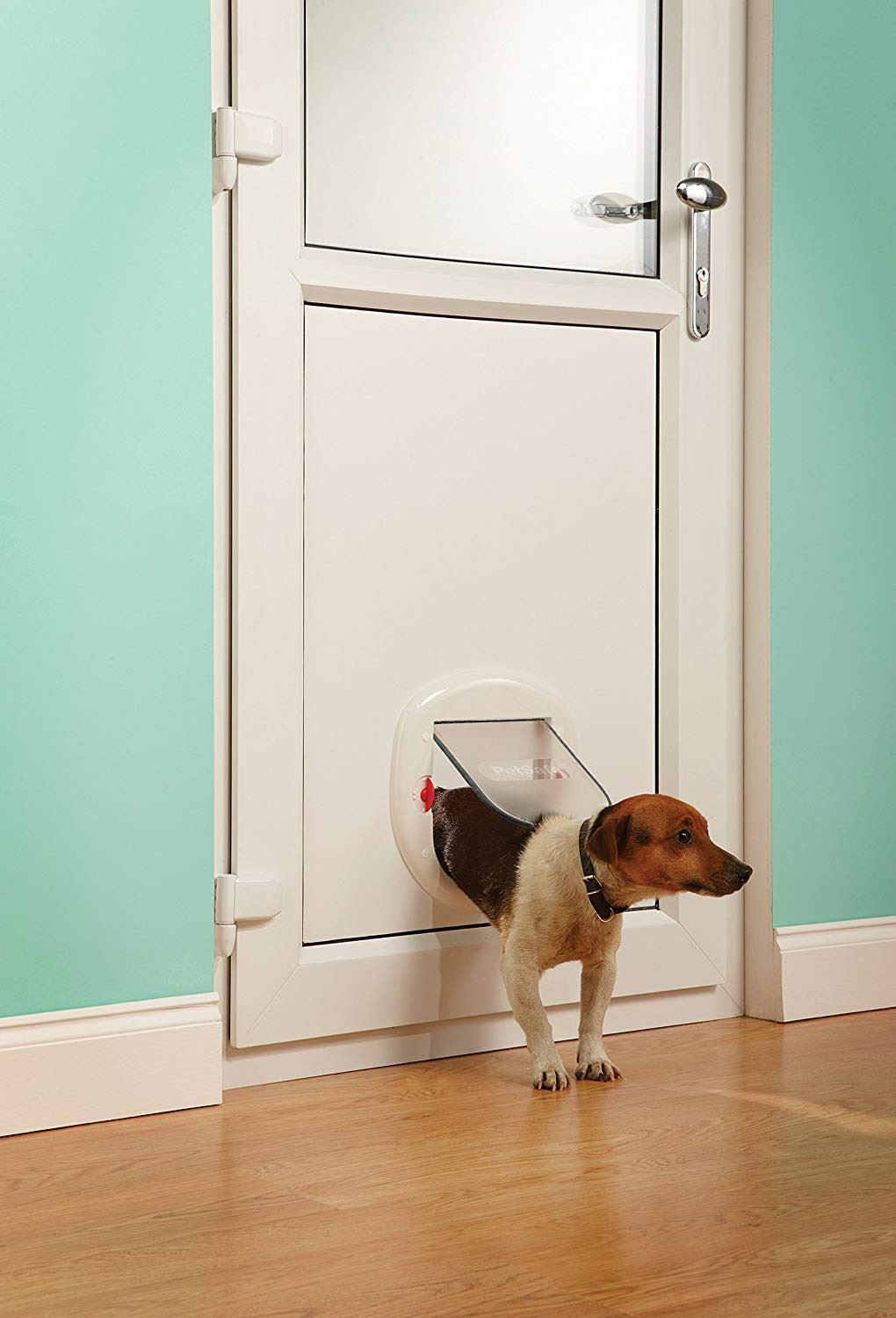 Staywell Big Cat/Small Dog Pet Door - White