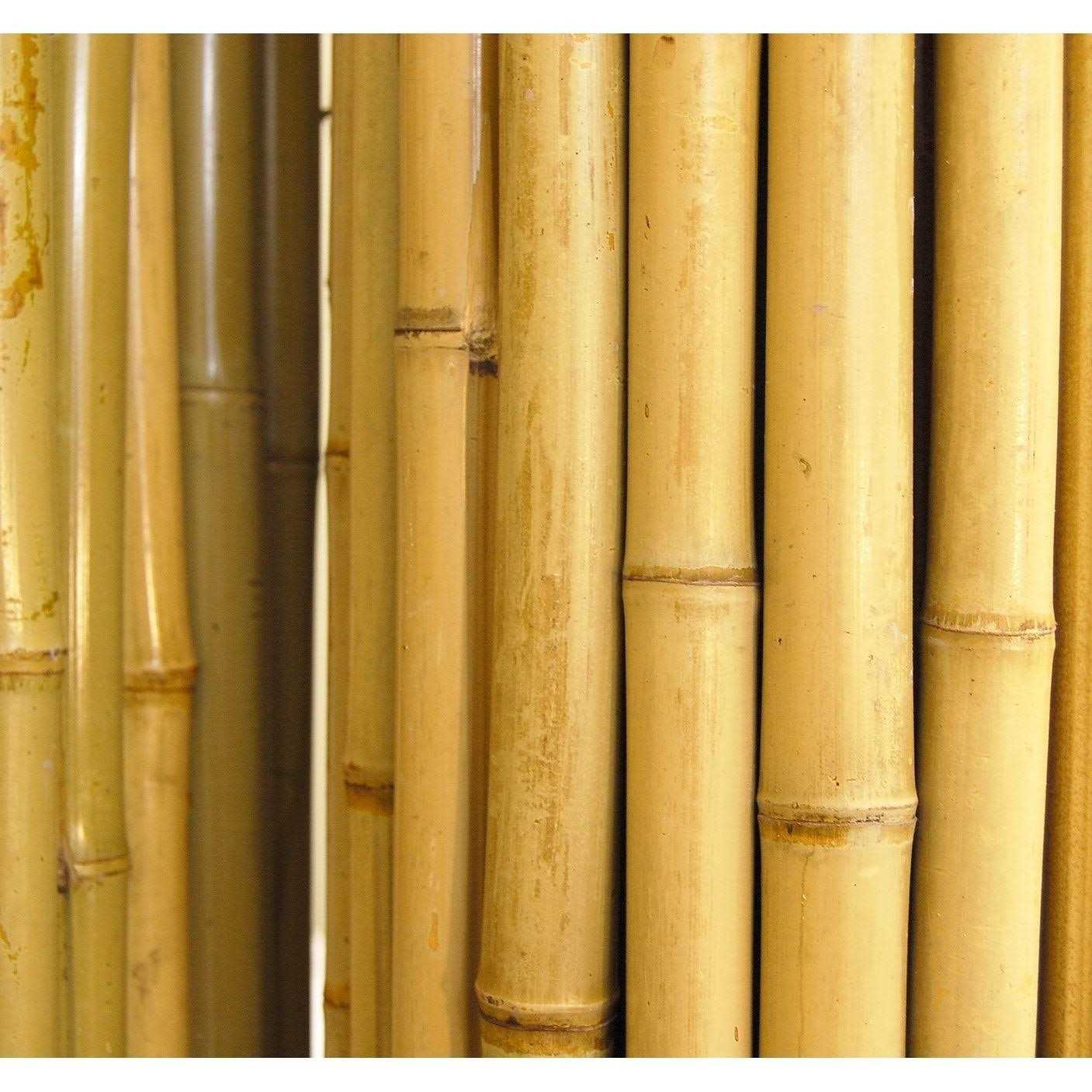 Backyard X-Scapes Bamboo Fencing Natural