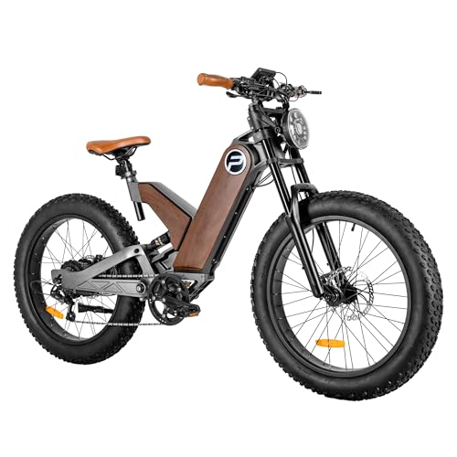 Antelope-P5 ebikes for Adults 750W 24"*4.0" Fat Tires，48V 16Ah Electric Commuter Bike,7 Gears with Full Suspension Hydraulic Brakes， Electric Bicycle for Adults，for All-Terrain Riding