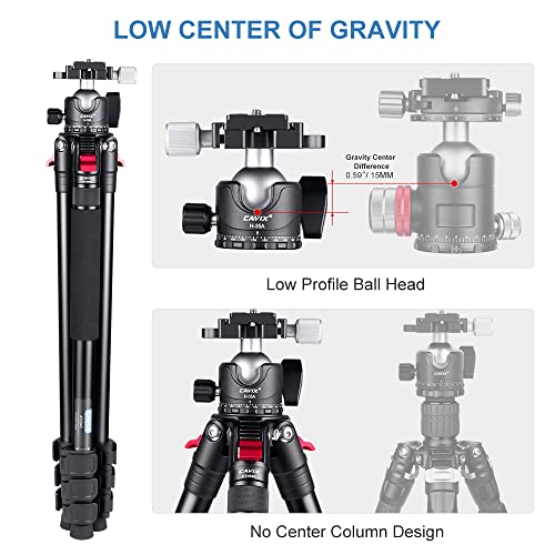 Carbon Fiber Tripod,Lightweight Portable Travel Tripod with Low Profile Ball Head with 1/4" Quick Release Plate Compatible with Camera Max Load 22lbs…