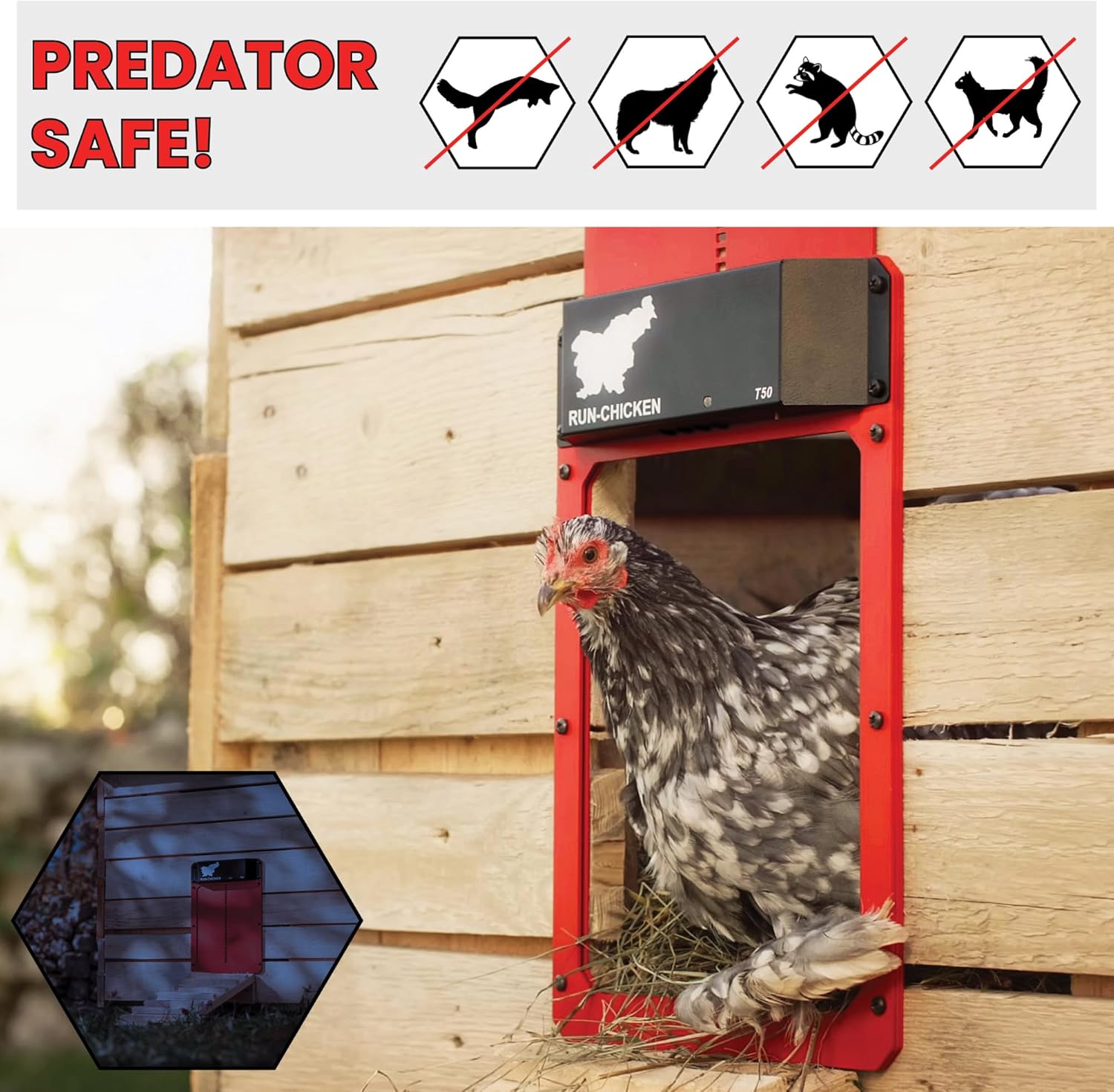 Run Chicken Door Model T50 (Red)