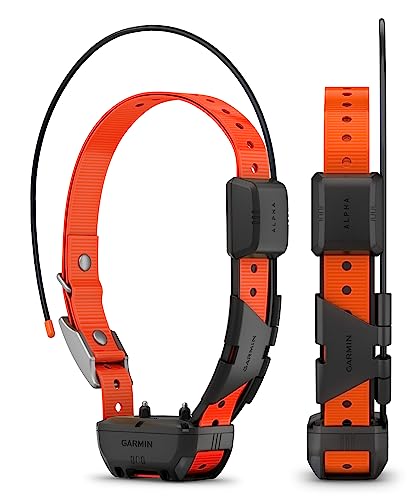 Wearable4U - Garmin Alpha 300 Handheld, Advanced Dog Tracking and Training Handheld, Touchscreen with E-Bank Bundle