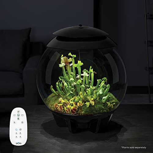 biOrb AIR 30, Automated Acrylic Terrarium for Desert or Tropical Plants, Black