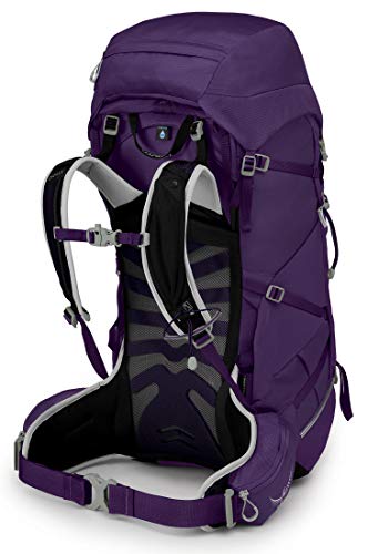 Osprey Tempest 40L Women's Hiking Backpack with Hipbelt, Violac Purple, WM/L