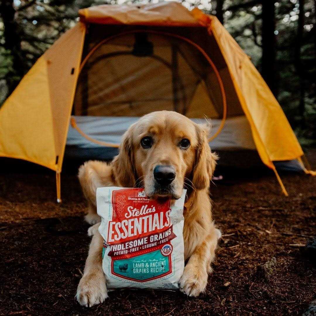 Stella &amp; Chewy's Essentials Ancient Grains Recipe Dog Food - Pet Supplies online store
