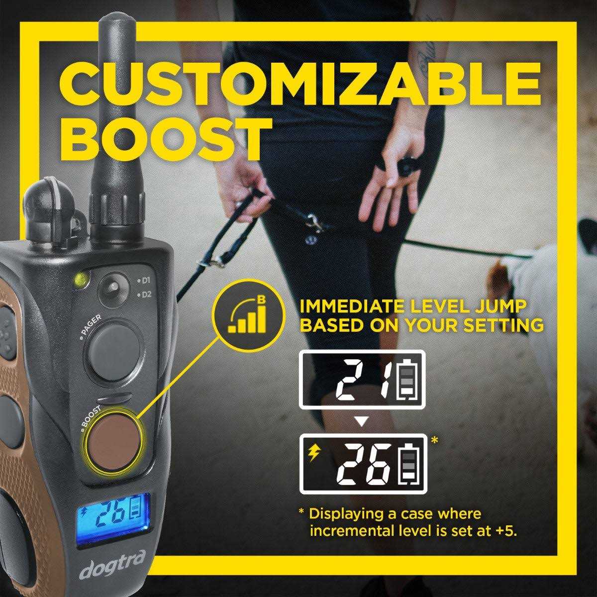 Dogtra ARC Handsfree Plus Boost &amp; Lock - Pet Supplies online store