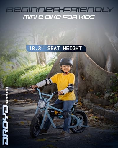 Droyd Weeler Electric Mini Bike for Kids, 200W Motor w 2 Speed Settings (10 Mph & 6 Mph), 24V 8Ah Battery for 8 Miles Range, Rear Disc Brake, and 15" Tires, Safe & Fun E Bike for Ages 6+