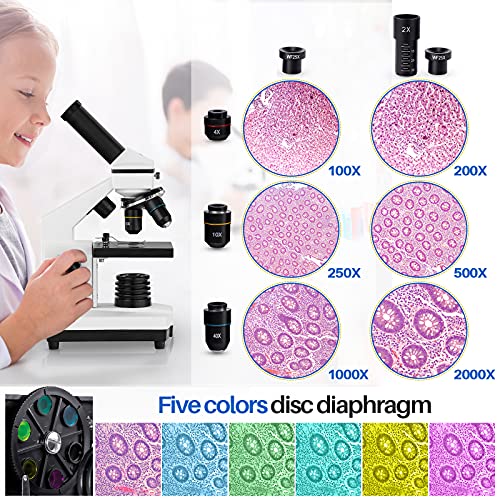 Microscope for Adults Kids, 100X-2000X BEBANG Compound Microscope with Microscope Slides, Microscope Kit for Kids Students Home School Lab