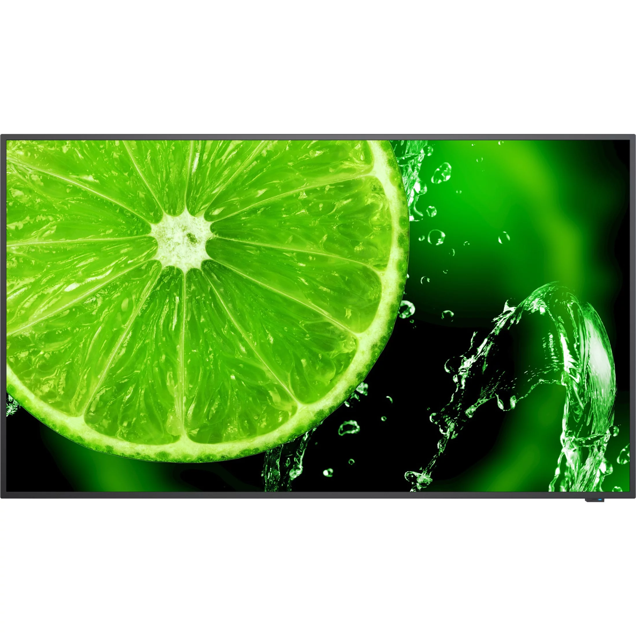 NEC Display Solutions E658 65" 4K UHD Display with Integrated ATSC/NTSC Tuner Built-in Speaker
