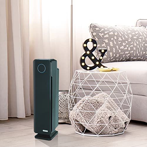 Germ Guardian True HEPA Filter Air Purifier with UV Light Sanitizer, Eliminates Germs, Filters Allergies, Pollen, Smoke, Dust, Pet Dander, Mold