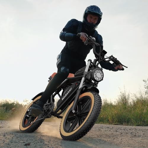 Electric Bike for Adults Q20, 2000/1500W, 37/30MPH,52V 40AH,48V/20AH E-Bike,30-180 Miles Electric Motorcycle, 20" Fat Tire Dirt Bike, UL2849 All Terrain for Mountains, Snow, Sand, Road