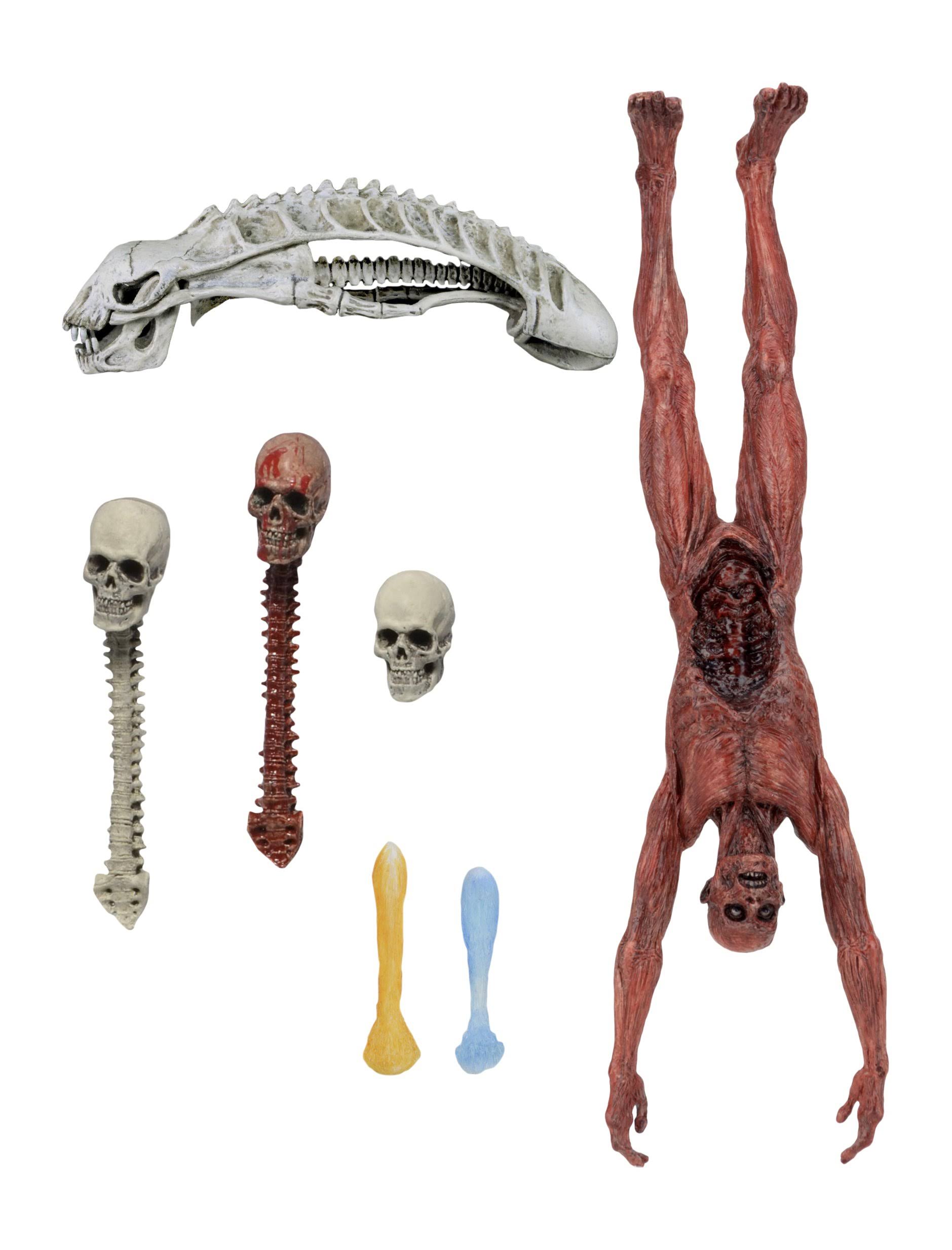 NECA Predator Deluxe Accessory Pack Action Figure EZ312186